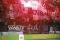 09-NANCY-OM